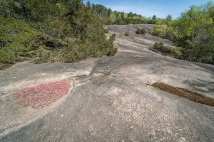 Heggies Rock Preserve in Columbia County GA 3475